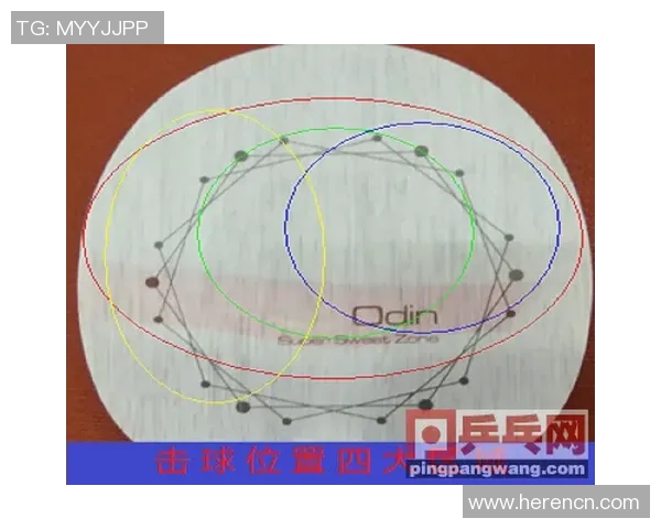 上海极限运动队技术创新与训练方法的深入探讨与分析